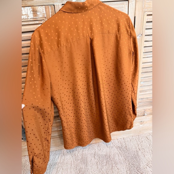 Sèzane 100% Silk Hazelnut Jacquard Ann Shirt (Size FR 36 | US 4) - Picture 6 of 12